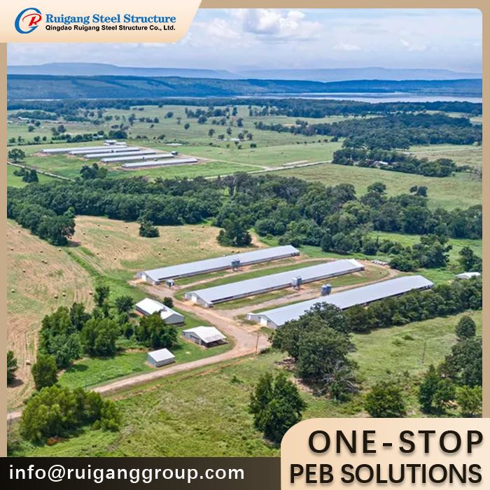 Brooder Poultry Farm