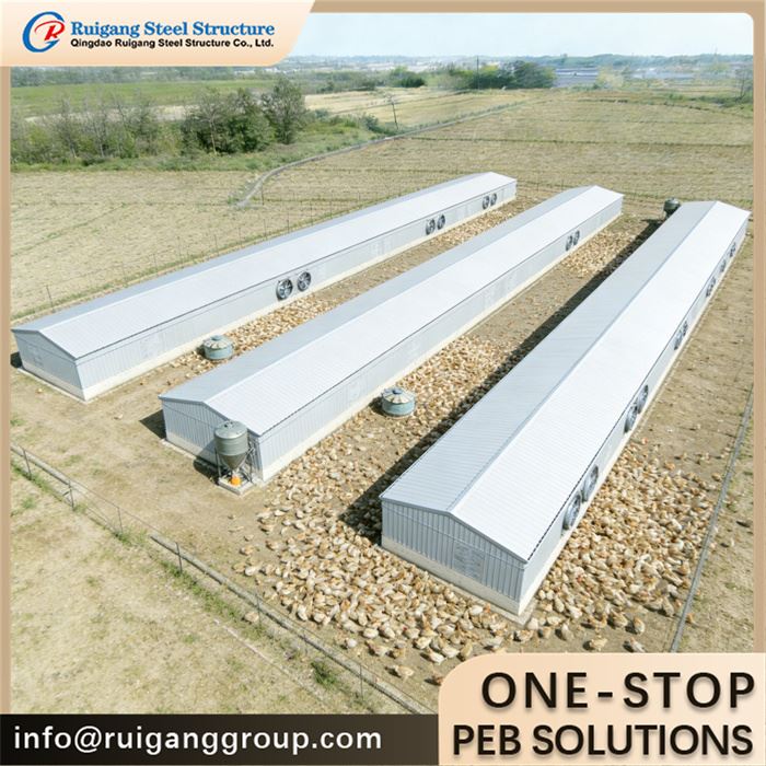 Poultry Farm